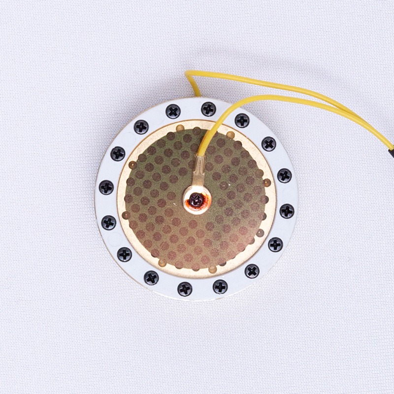 RK-87 ラージダイアフラムマイクカプセル 金メッキダイア - Microphone Capsule のレビューと価格
